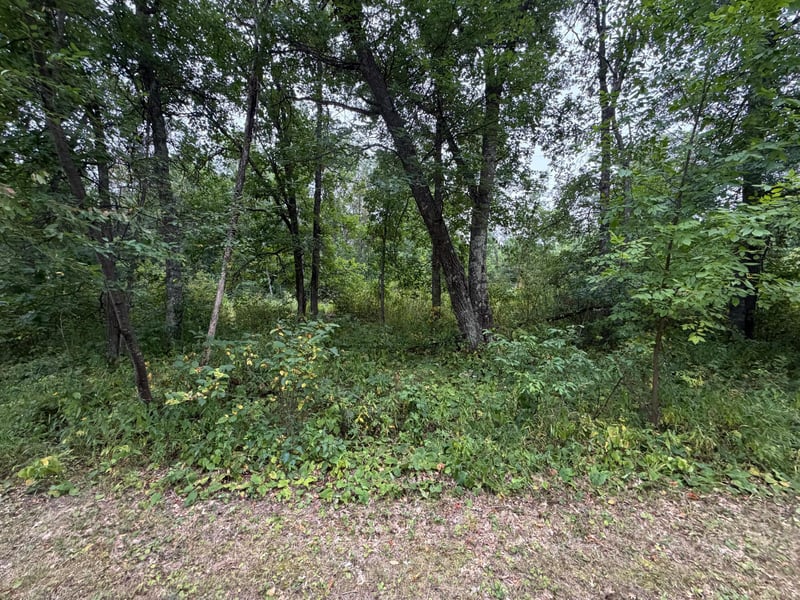 Lot 2 Whitetail, Crosby, MN 56441