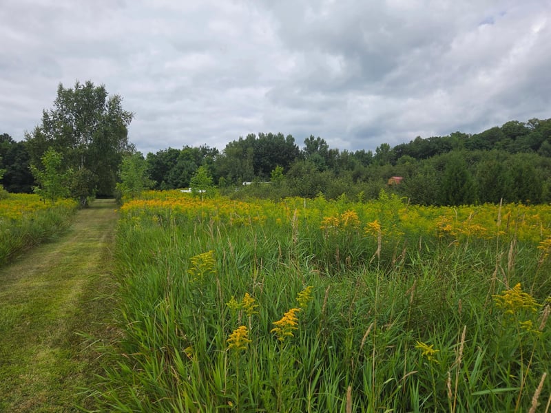 2979 12th St, Barronett, WI 54813