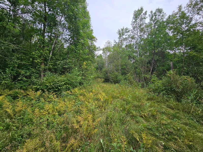 tbd Moose River Rd E, Grygla, MN 56727