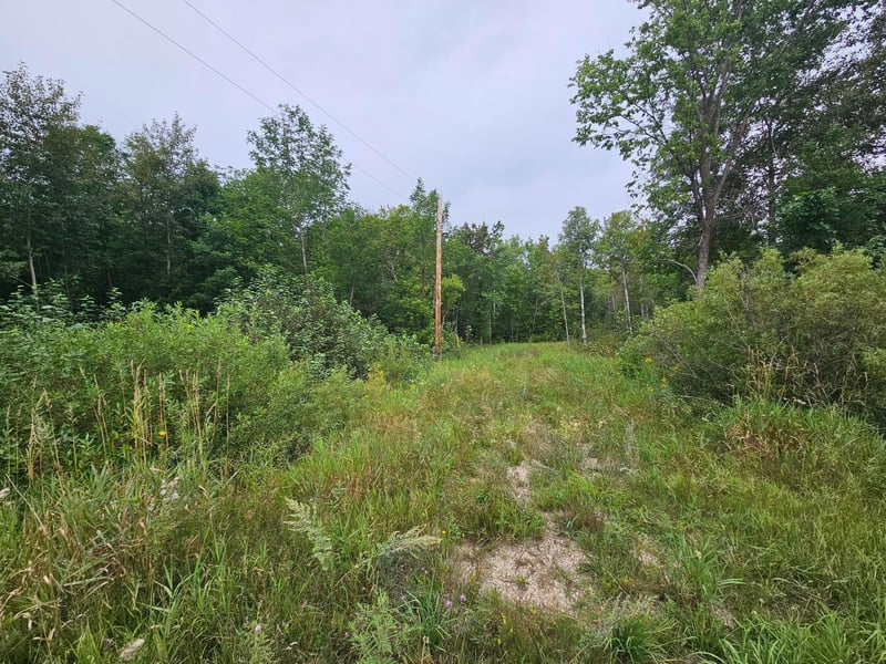 tbd Moose River Rd E, Grygla, MN 56727