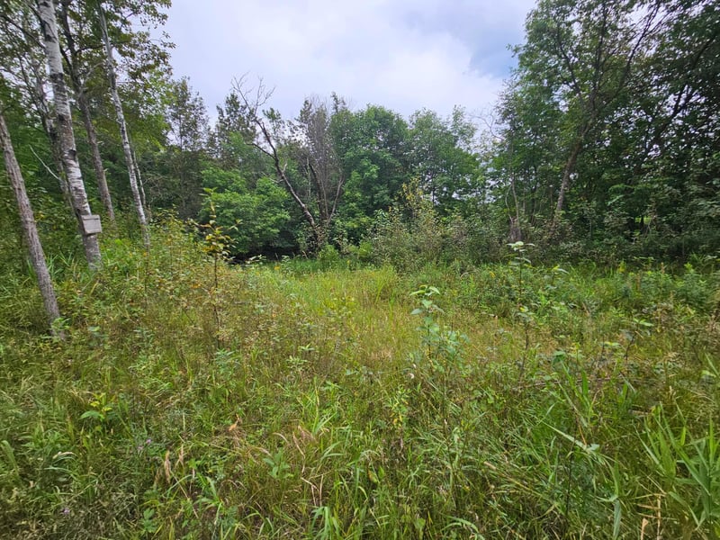 tbd Moose River Rd E, Grygla, MN 56727