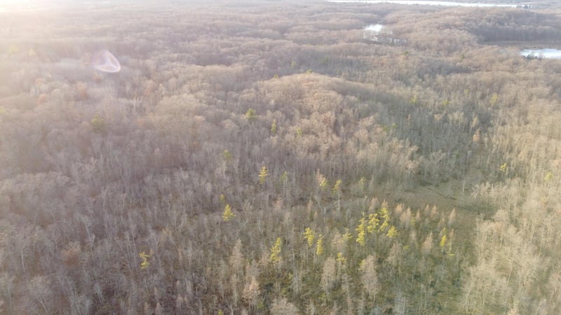 TBD 240th St, Luck, WI 54853