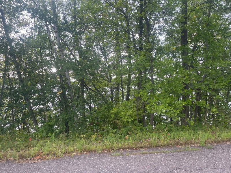 TBD Sand Lake Rd, Moose Lake, MN 55767