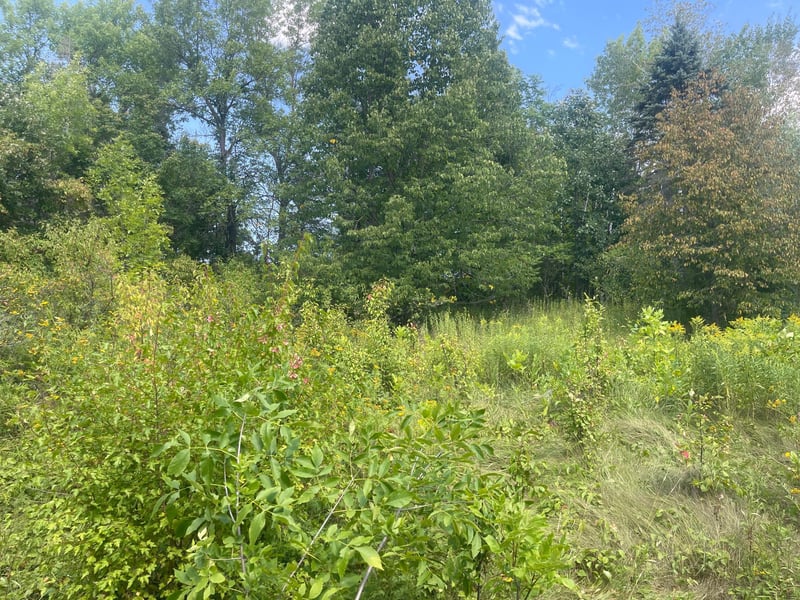 TBD Sand Lake Rd, Moose Lake, MN 55767