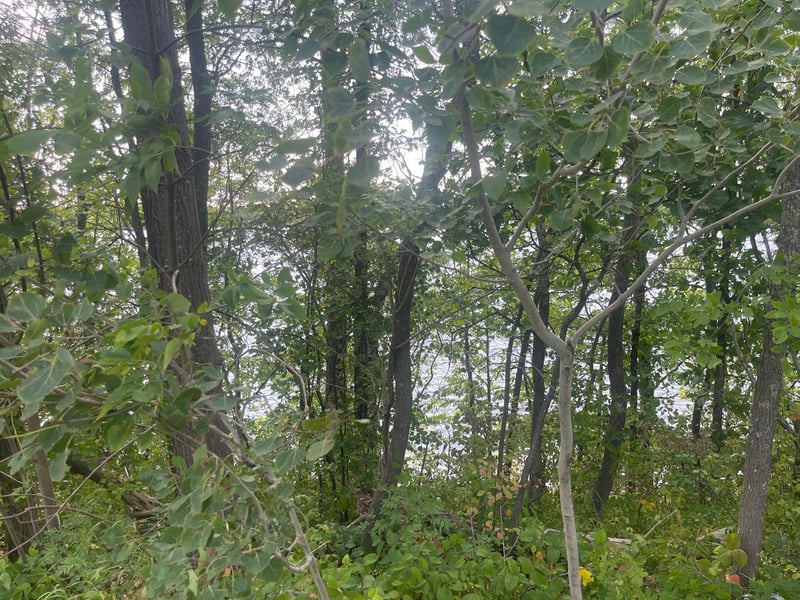 TBD Sand Lake Rd, Moose Lake, MN 55767