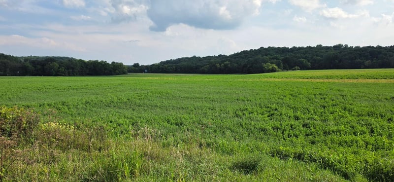 21 County Rd, Mazeppa, MN 55956