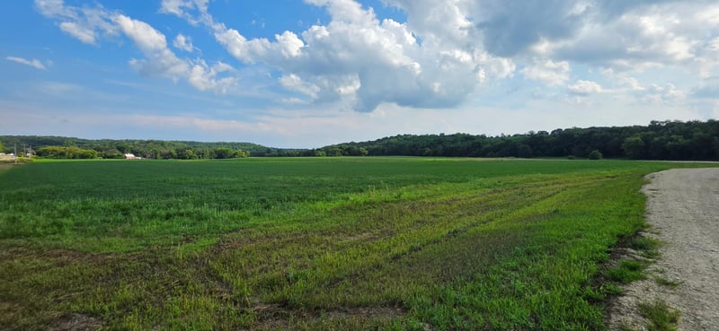 21 County Rd, Mazeppa, MN 55956