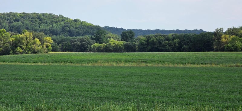 21 County Rd, Mazeppa, MN 55956
