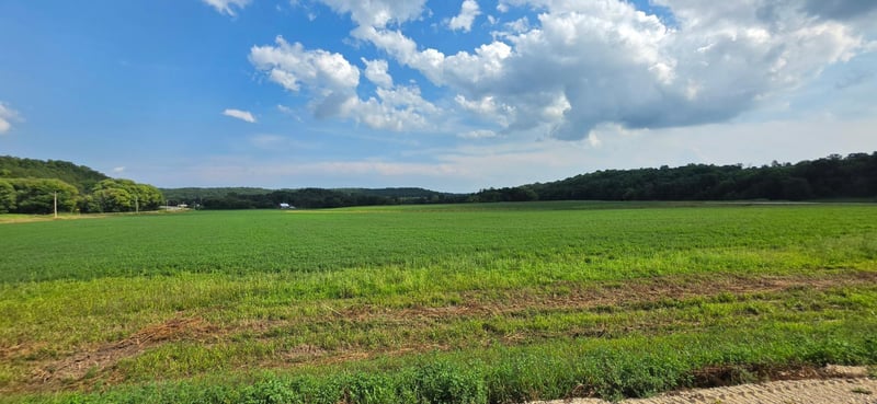 21 County Rd, Mazeppa, MN 55956