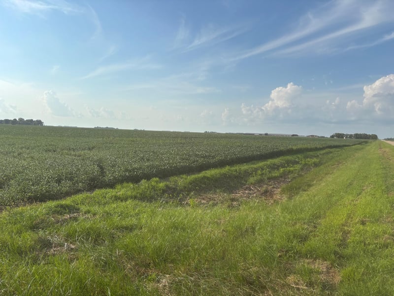 62495 310th Street And 620th, Chokio, MN 56221