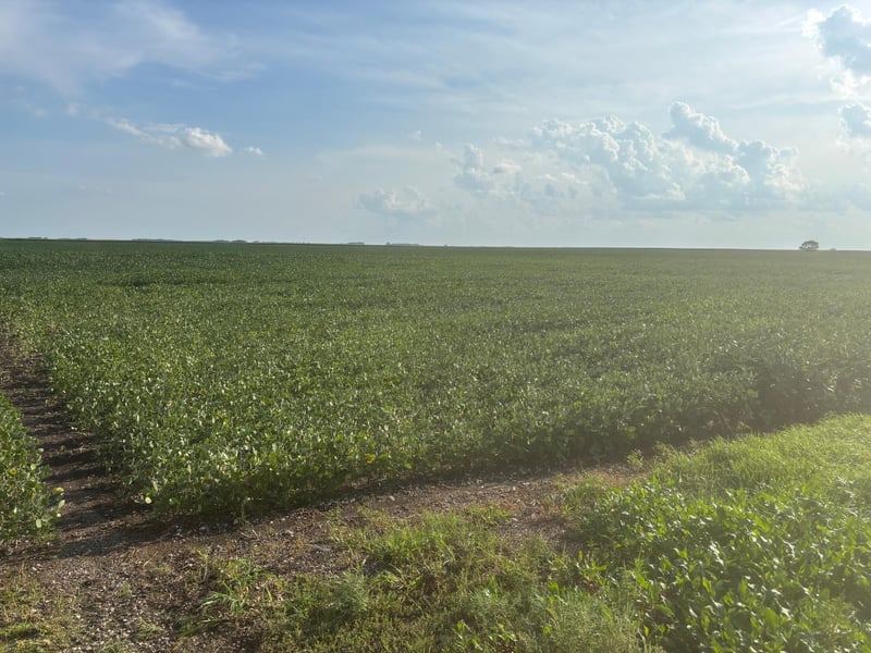 62495 310th Street And 620th, Chokio, MN 56221