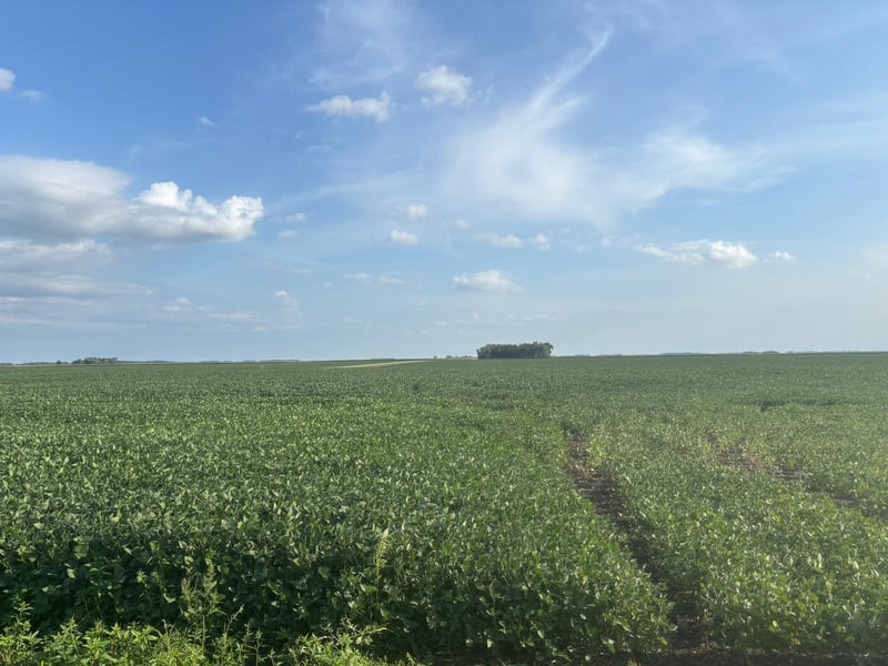 62495 310th Street And 620th, Chokio, MN 56221
