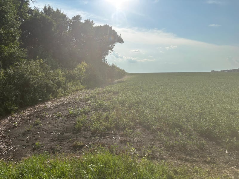 62495 310th Street And 620th, Chokio, MN 56221