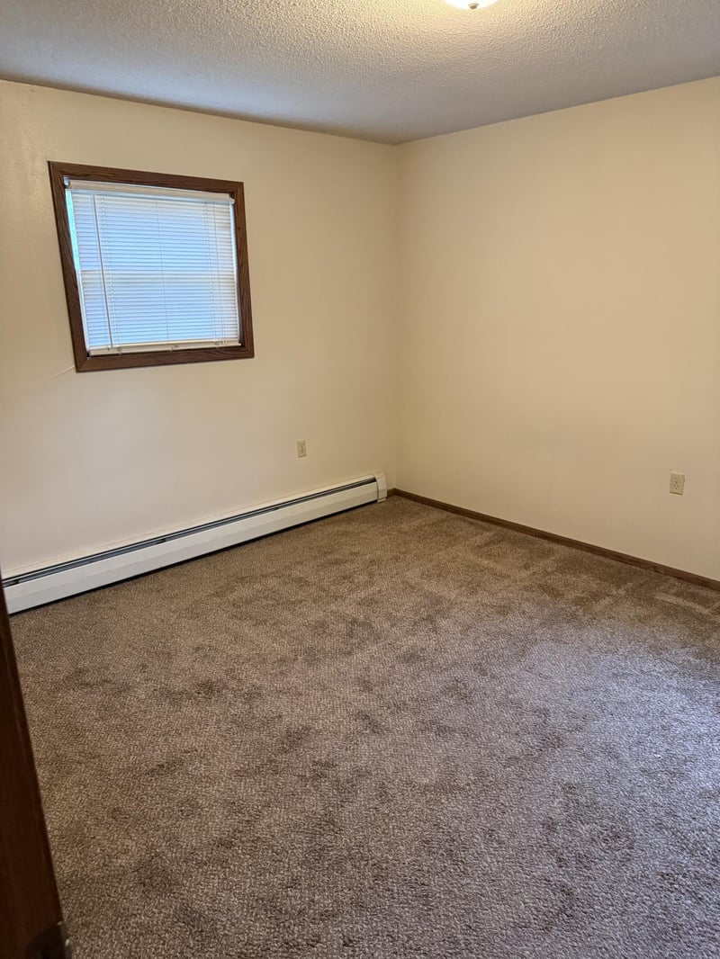 305 N Van Buren Ave, Springfield, MN 56087