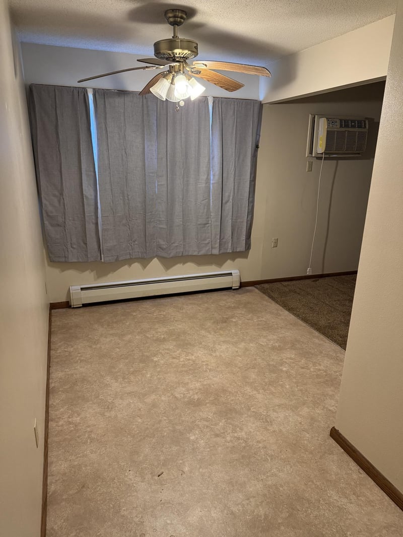 305 N Van Buren Ave, Springfield, MN 56087