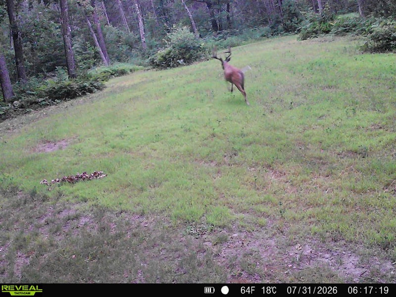 0000 Sand Lake Rd, Stone Lake, WI 54876