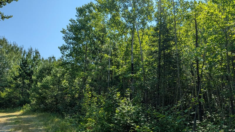 TBD Kennedy Rd, Cook, MN 55723