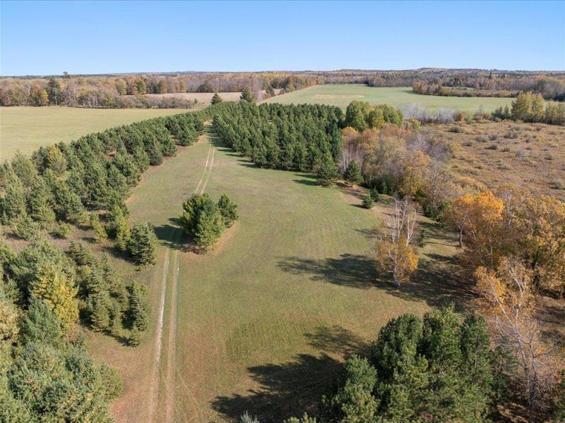 TBD State 64, Akeley, MN 56433