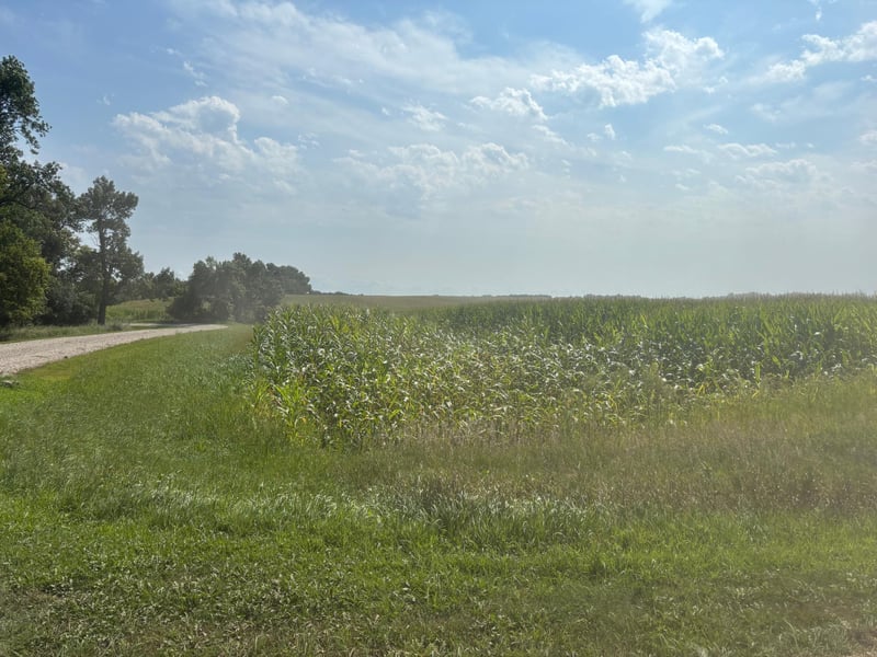 10020 83rd St NW, Milan, MN 56262