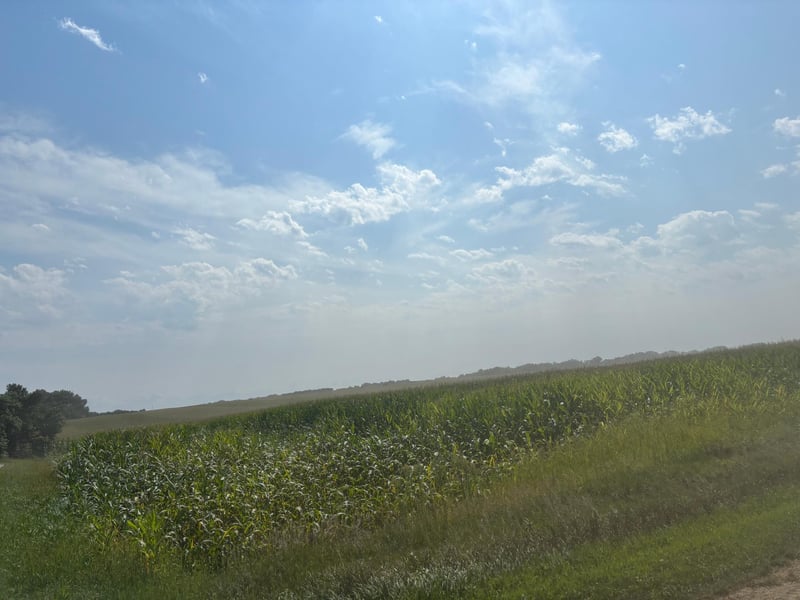 10020 83rd St NW, Milan, MN 56262
