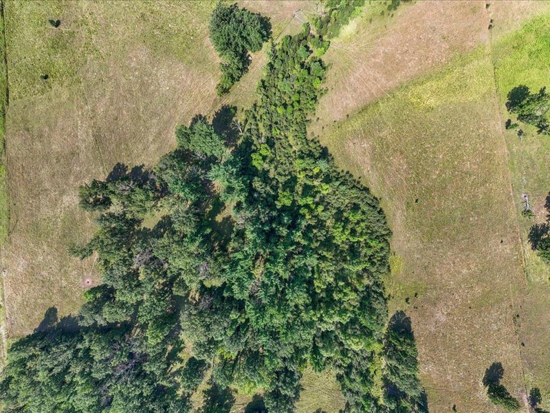 tbd 40 acre State 210, Pillager, MN 56473
