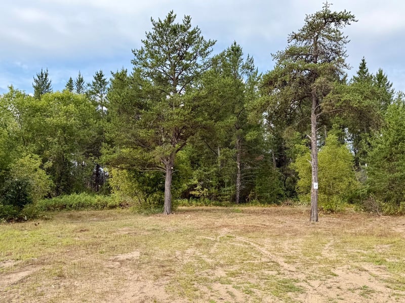 9939 Canary St, Brainerd, MN 56401