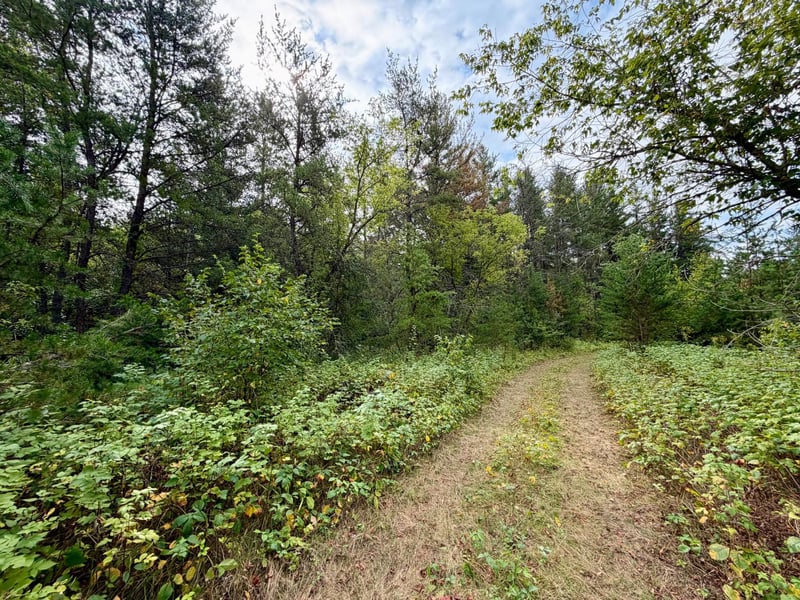 9939 Canary St, Brainerd, MN 56401