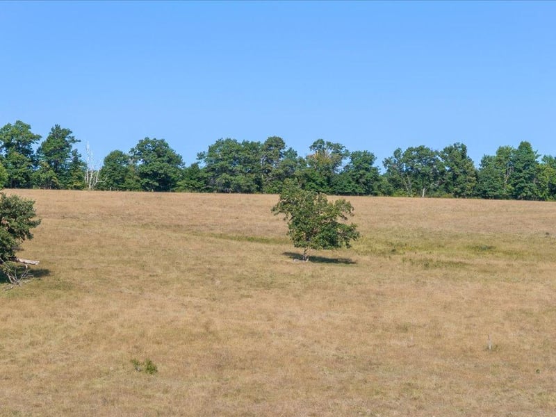 tbd 80 acres State 210, Pillager, MN 56473
