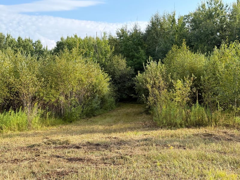 TBD County Road 12, Kettle River, MN 55767