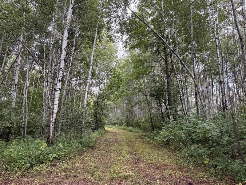 TBD County Road 12, Kettle River, MN 55767
