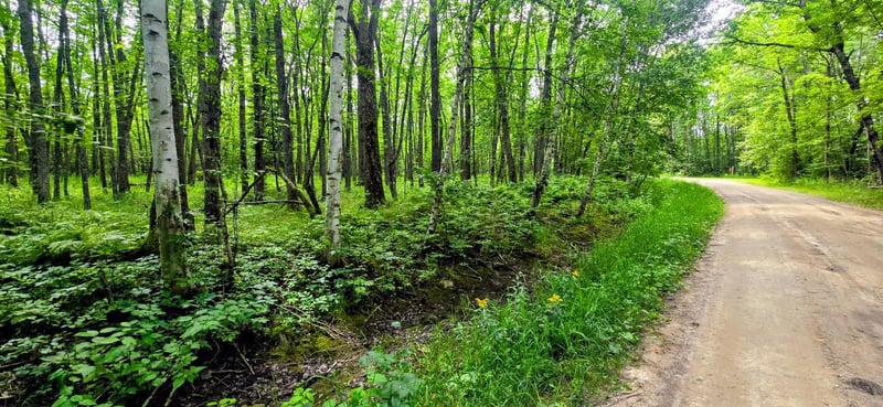 TBD Dawson Rd NW, Angle Inlet, MN 56711