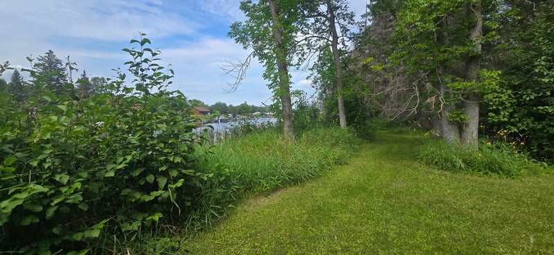 17365 E Pine Dr NW, Angle Inlet, MN 56711