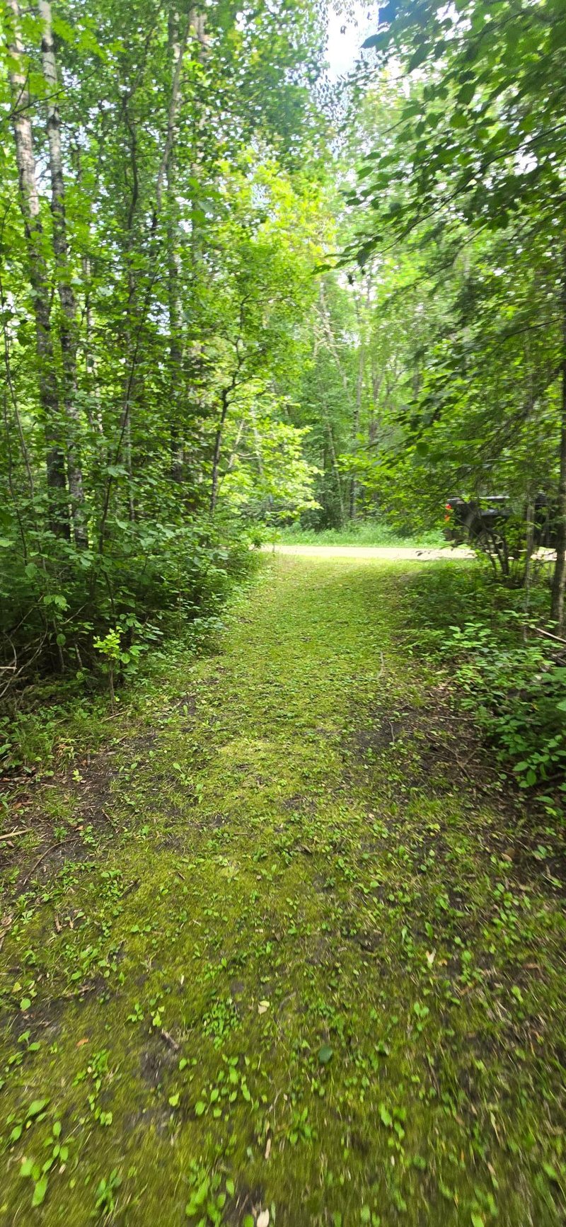 17365 E Pine Dr NW, Angle Inlet, MN 56711
