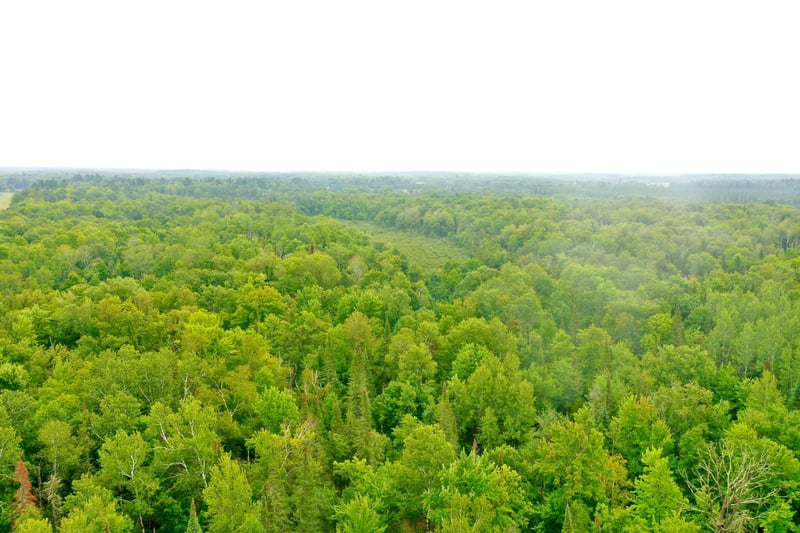 17001 White Spruce Rd, Finlayson, MN 55735