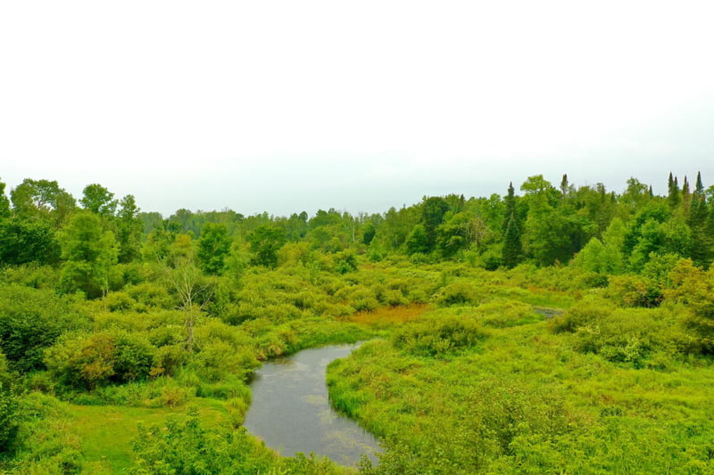 17001 White Spruce Rd, Finlayson, MN 55735