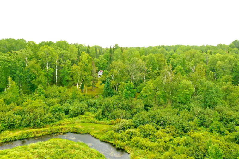 17001 White Spruce Rd, Finlayson, MN 55735
