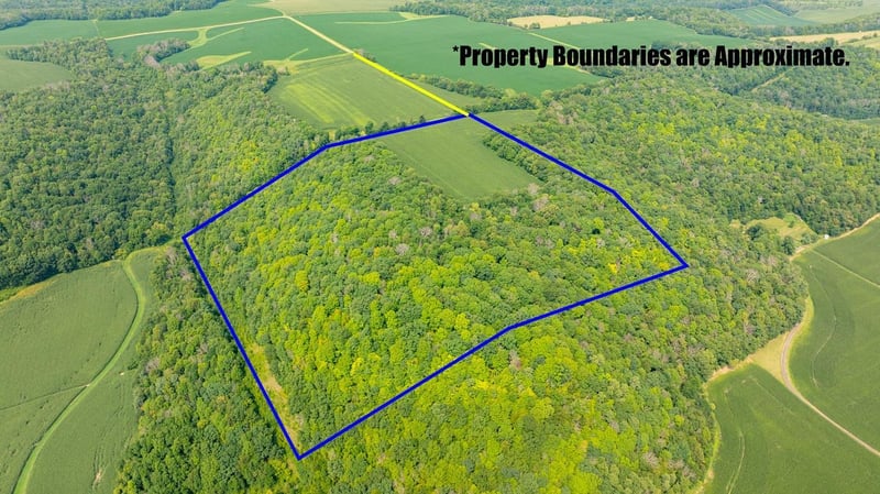 0 Moritz Ln, Arkansaw, WI 54721