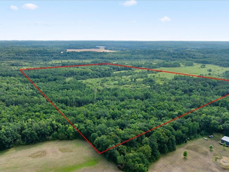 TBD Azalea Rd, Motley, MN 56466