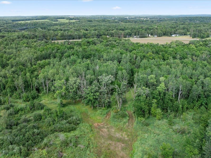 TBD Azalea Rd, Motley, MN 56466