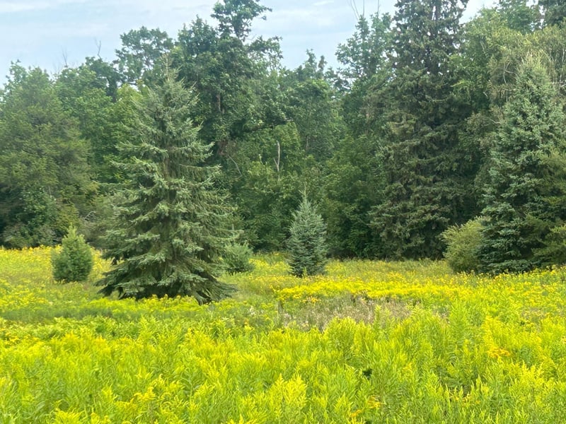 TBD Steinhart Cir, Grand Rapids, MN 55744
