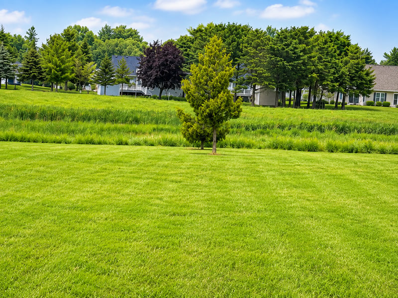 854 Lake Forest Cir, Detroit Lakes, MN 56501