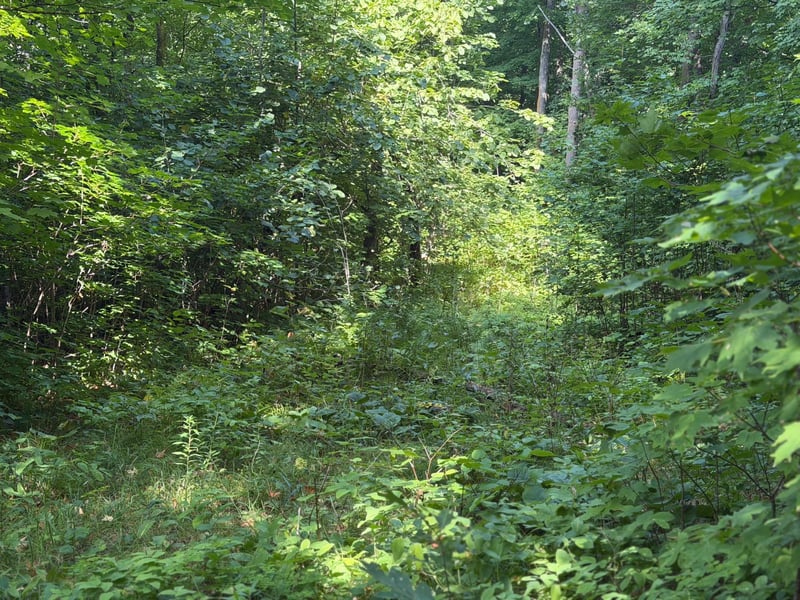 TBD S Tulaby Lake Ln, Waubun, MN 56589