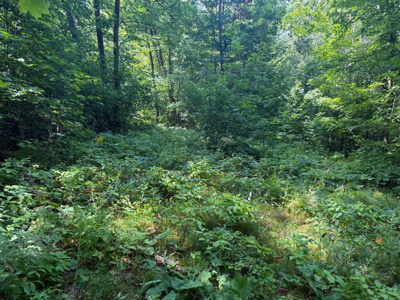 TBD S Tulaby Lake Ln, Waubun, MN 56589