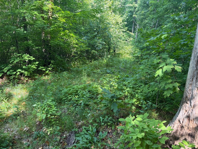 TBD S Tulaby Lake Ln, Waubun, MN 56589