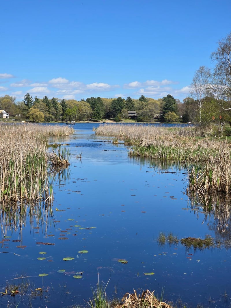 TBD NE West Fawn Lake Rd, Stacy, MN 55079