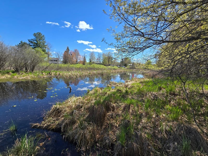 TBD NE West Fawn Lake Rd, Stacy, MN 55079