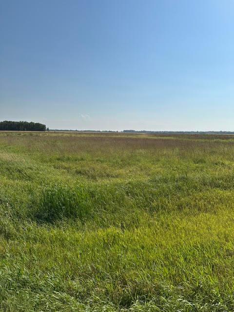 TBD 140th St NE, Thief River Falls, MN 56701