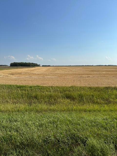 TBD 140th St NE, Thief River Falls, MN 56701