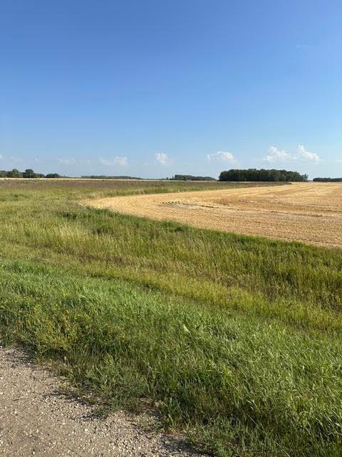 TBD 140th St NE, Thief River Falls, MN 56701