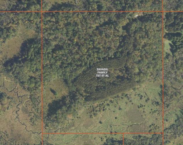 TBD 530th Ave, Deer Creek, MN 56527